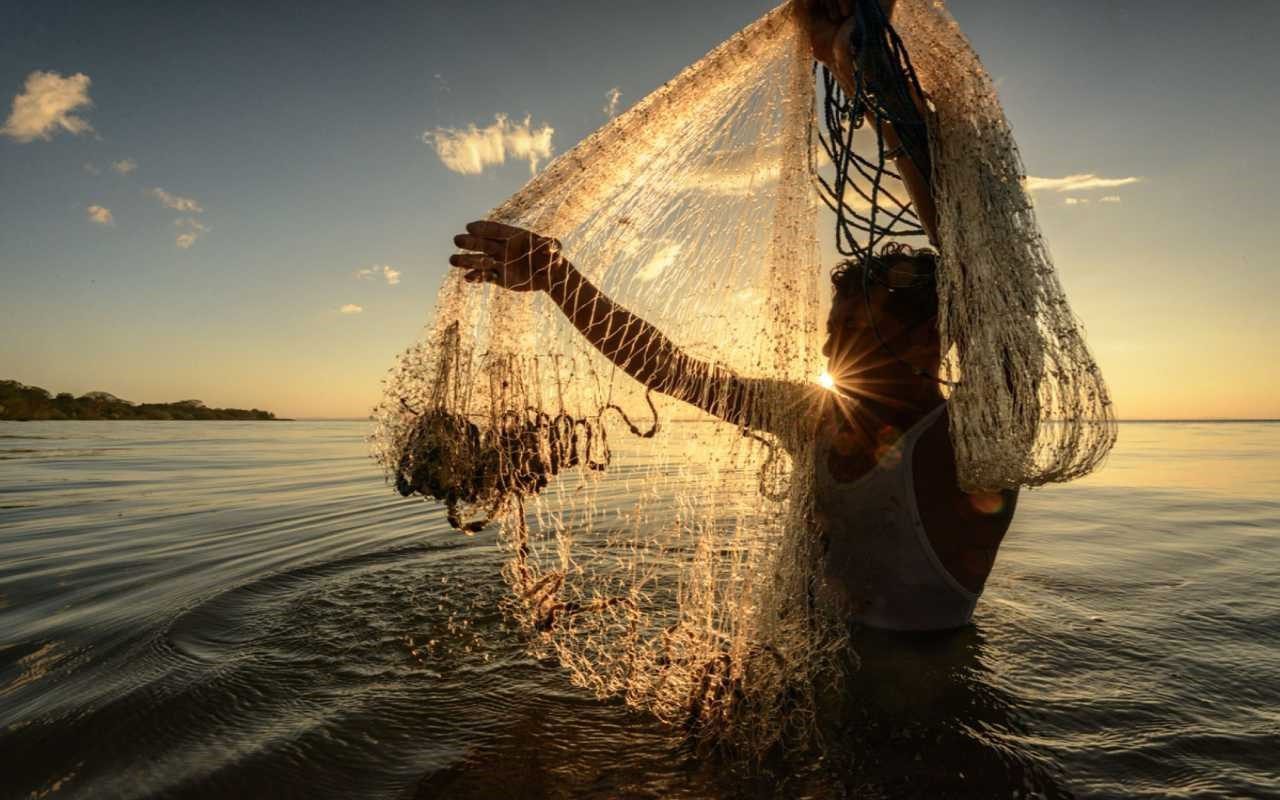 راهنمای خرید تور ماهیگیری
